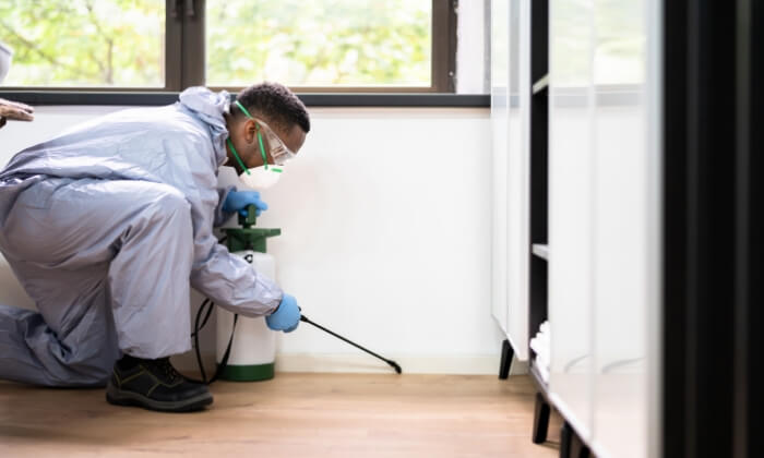 Man applying pest control products